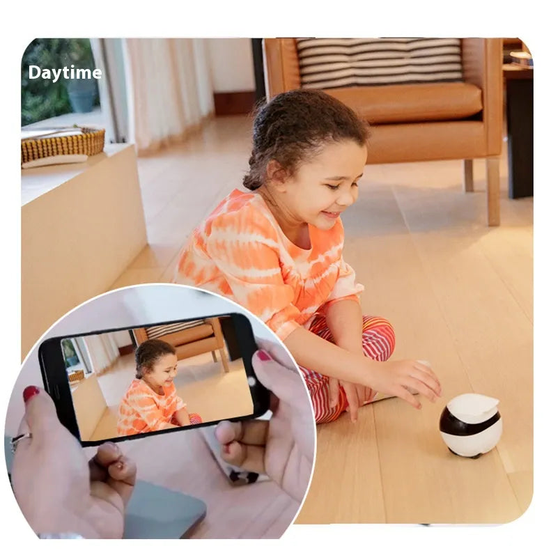 Pet Monitoring Camera