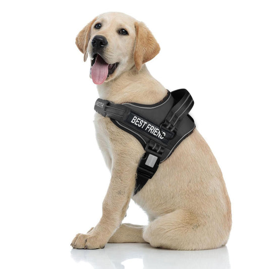 AUROTH Dog Harness No Pull Dog Harness with Handle No Choke Soft Padded Service Dog Vest Easy On Adjustable Reflective Dog Harness for Small Medium and Large Dogs Easy Walking and Training