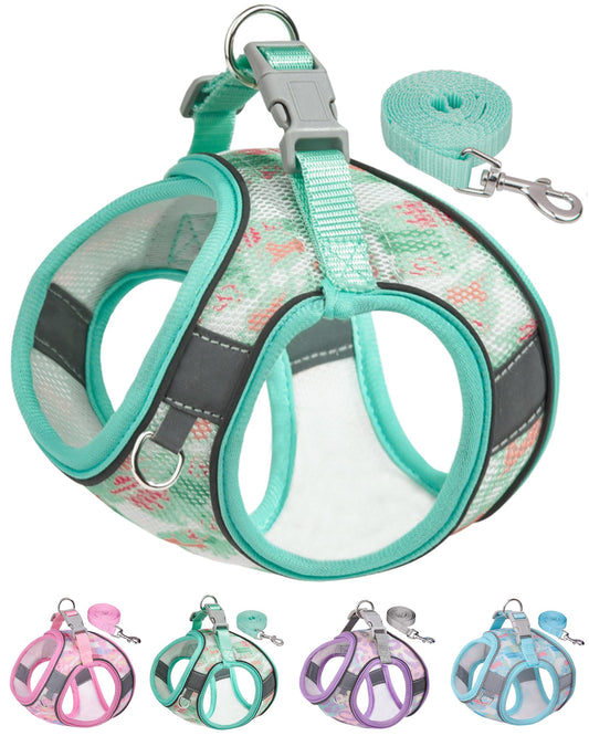 Aecllcea Dog Harness for Small Medium Dogs No Pull Cat Harness and Leash Set Puppy Harness for Small Dogs Xs Dog Harness Step in Dog Harness Harness and Leash for Small Dogs. (Green M)