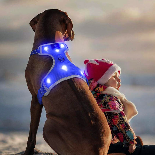 BSEEN Light Up Dog Harness - No-Pull LED Dog Harness Glow in The Dark Dog Walking Harness Rechargeable Dog Vest Harness Dog Lights for Night Walking (Blue Large)
